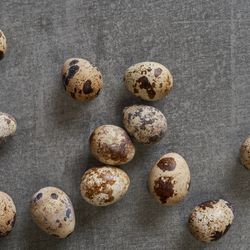 Quail Eggs