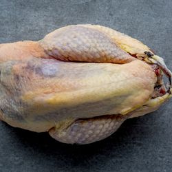 Pheasant