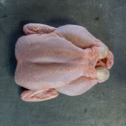 Suffolk Barn Chickens